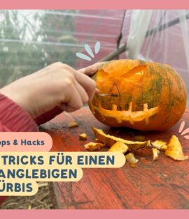 5 Geheimtipps für den Kürbis