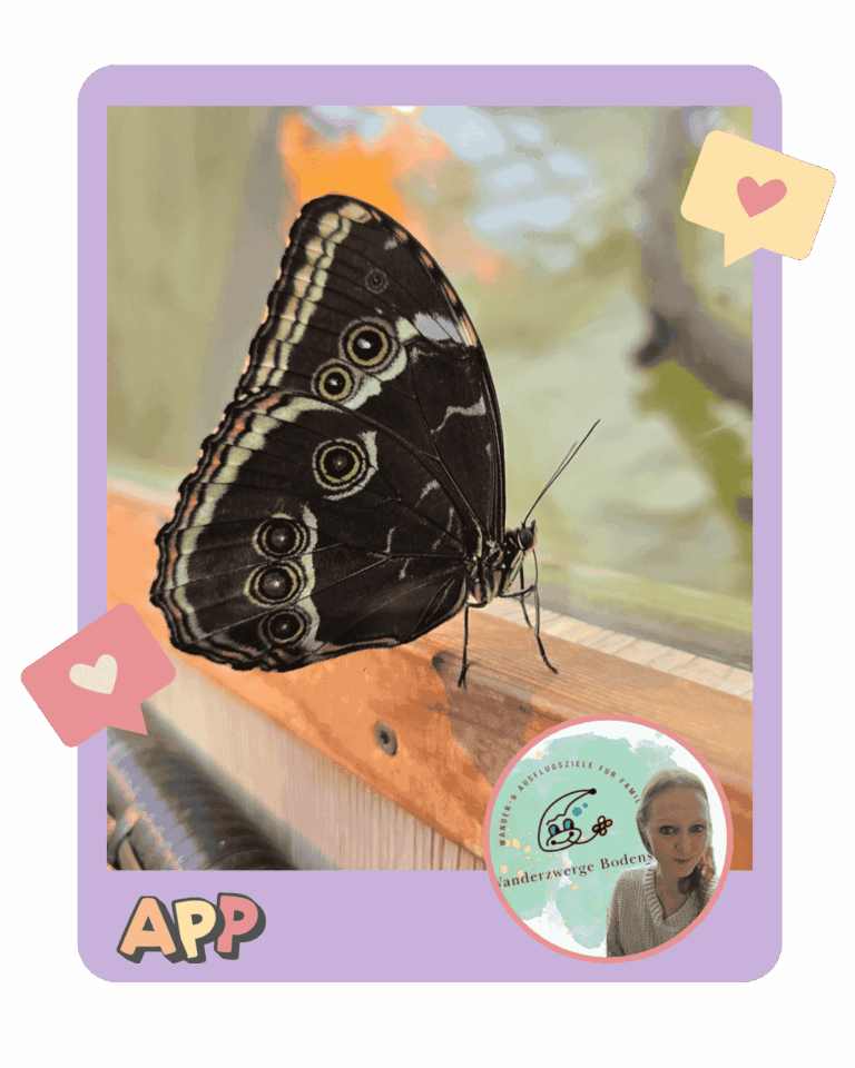 WOWZER-familienausflug-natur-schmetterling-baden-württemberg
