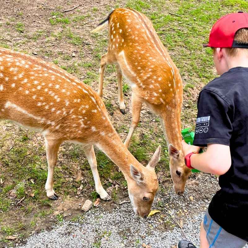 Familienausflug Pfingsten 2026