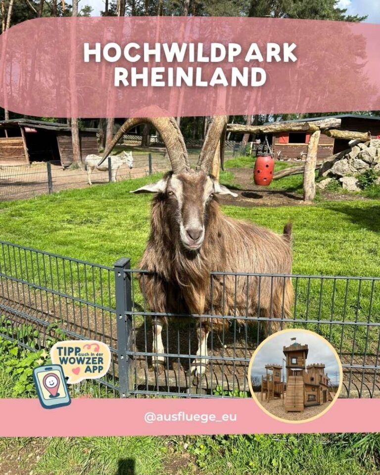 Hochwildpark Rheinland @ausfluege_eu