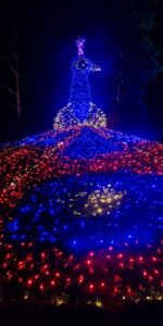 Lichterzauber auf der Insel Mainau