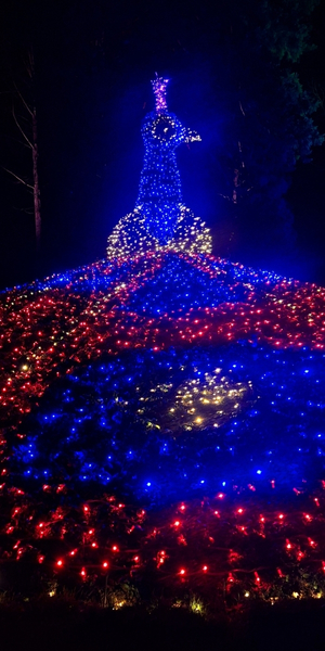 Lichterzauber auf der Insel Mainau
