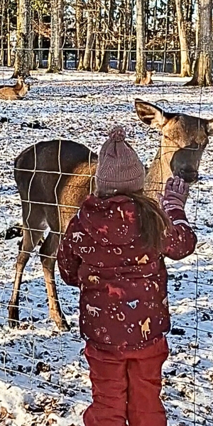 Tiere, Wald & Abenteuer in Laichingen