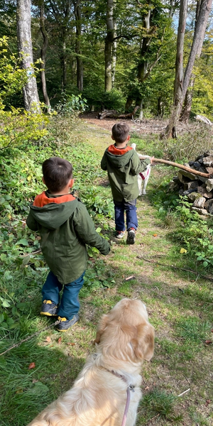 Mystischer Weg Schlangenbad