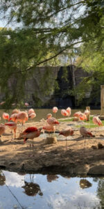 Zoo Leipzig-Ein Familienabenteuer