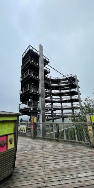 Baumwipfelpfad Saarschleife in Mettlach