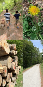 Spaziergang rund um den Hammerskopf