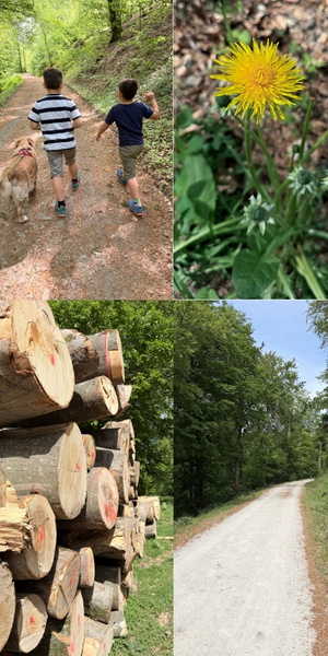 Spaziergang rund um den Hammerskopf