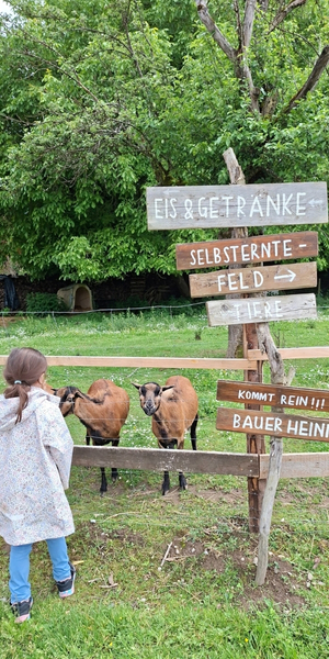 Bauer Heinis Erlebnisrundweg in Biberach