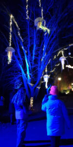 Christmas Lights im Kurpark Bad König