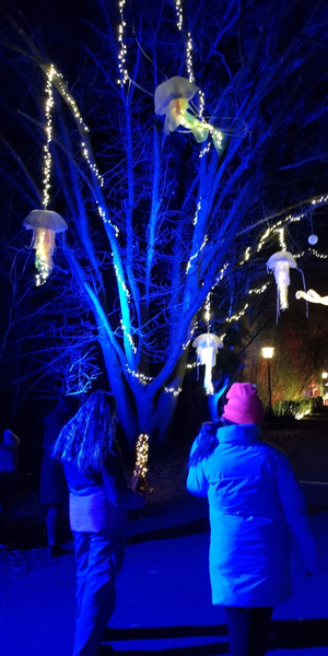 Christmas Lights im Kurpark Bad König