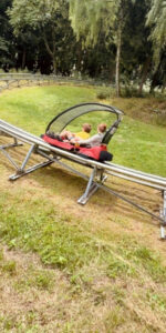 Bärenbob Sommerrodelbahn in Grafenau