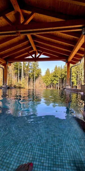 Traum Spa mitten im Wald in Leutkirch