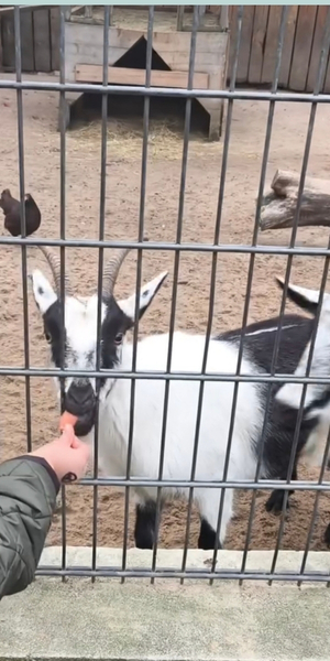 Tierpark Göppingen