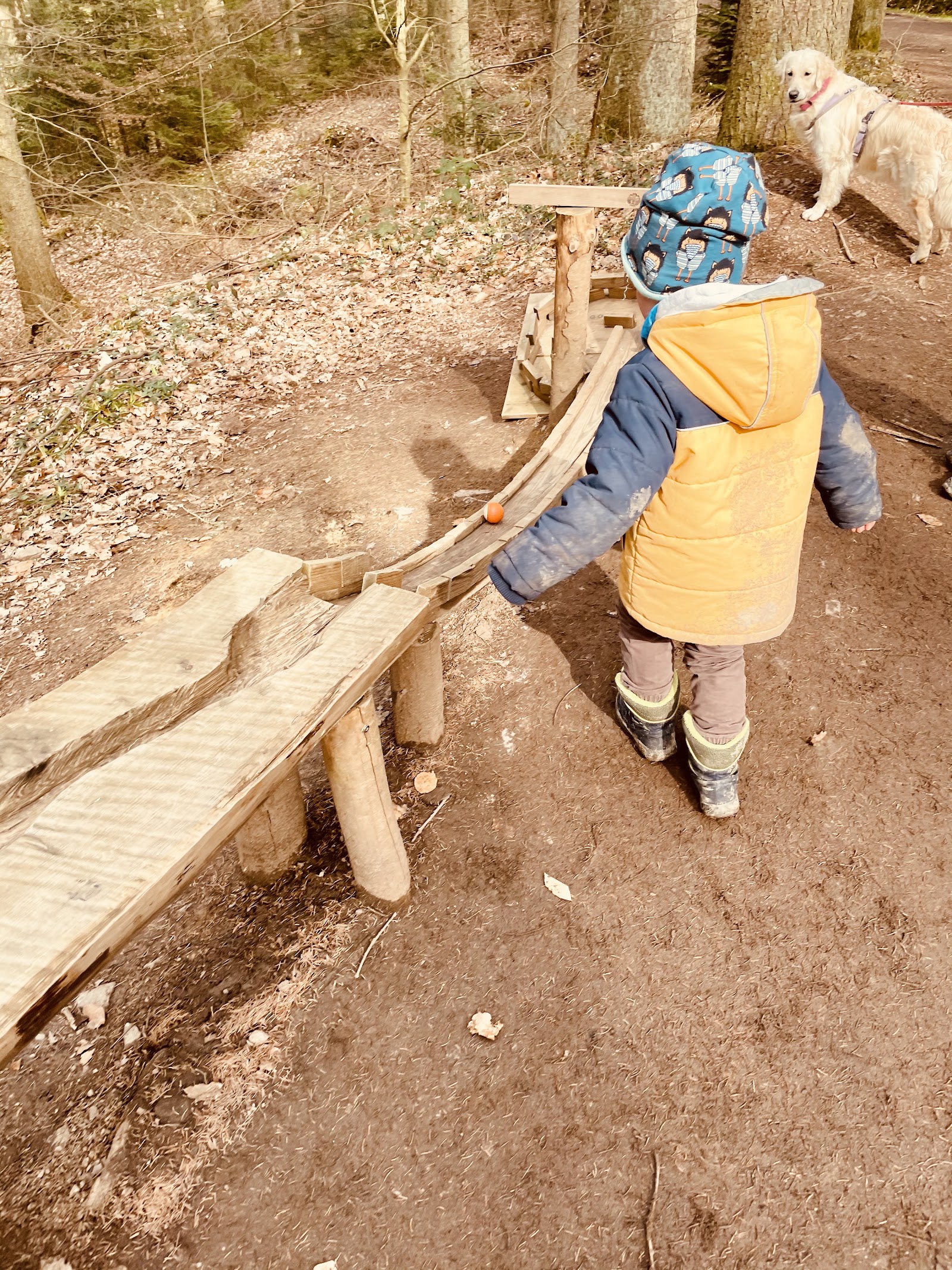 Erlebnispfad Binger Wald – Ausflug mit Kindern, Foto 4