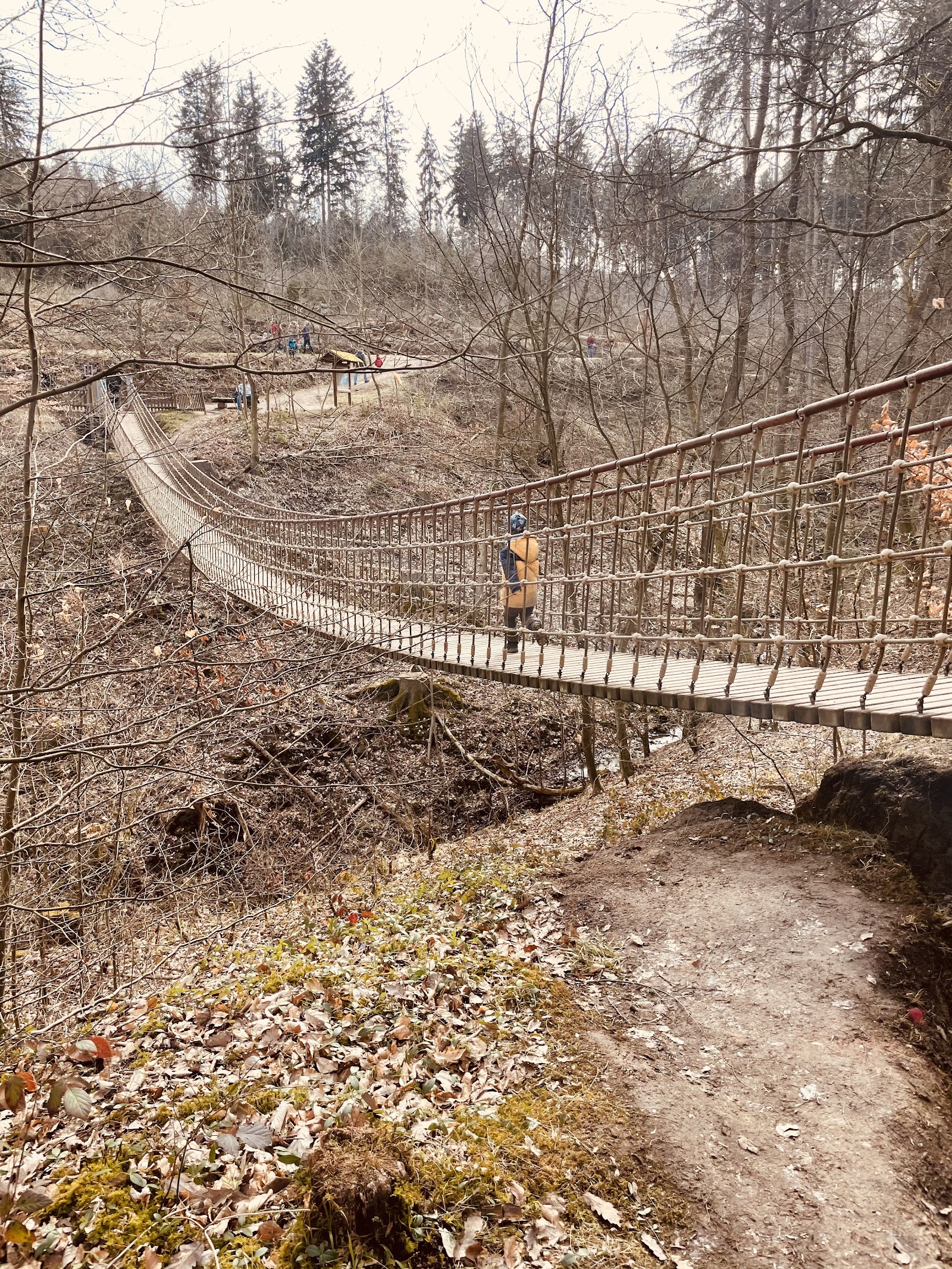 Erlebnispfad Binger Wald – Ausflug mit Kindern, Foto 5