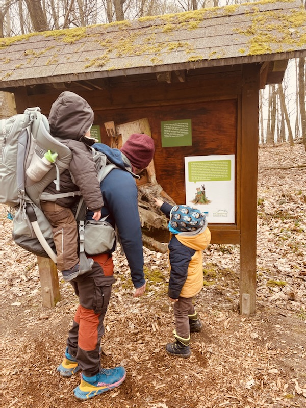 Erlebnispfad Binger Wald – Ausflug mit Kindern, Foto 6