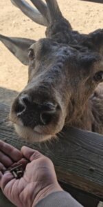 Wild- und Freizeitpark Daun