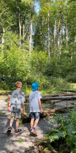 Geotop Saurierfährten in Euerdorf