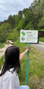Glücksweg Bermersbach am Rande des Schwarzwalds