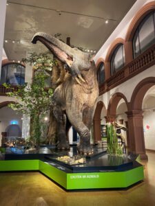 Naturhistorisches Museum Mainz
