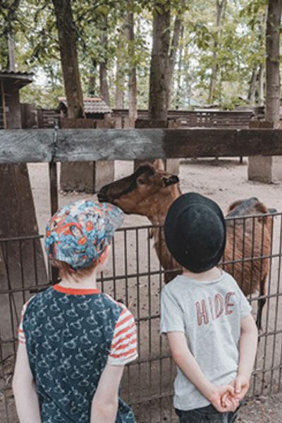 Kobelt Zoo in Frankfurt