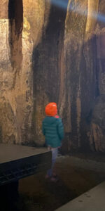 LAVA-DOME – Vulkanmuseum