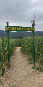 Maislabyrinth Sulzburghof Lenningen