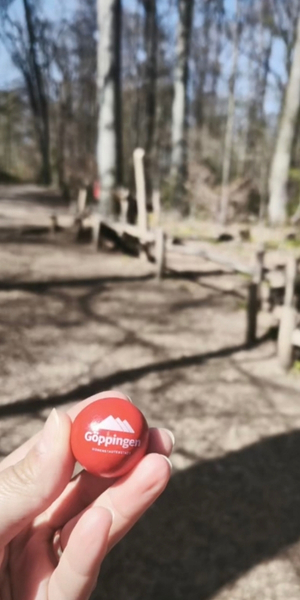 Murmelbahn Oberholz in Göppingen
