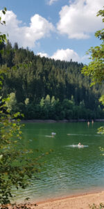 Nagoldtalsperre in Seewald