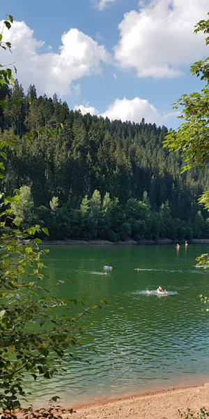 Nagoldtalsperre in Seewald