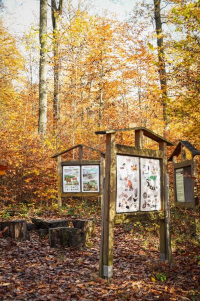 Natur (be-)greifen Erlebnispfad Usingen