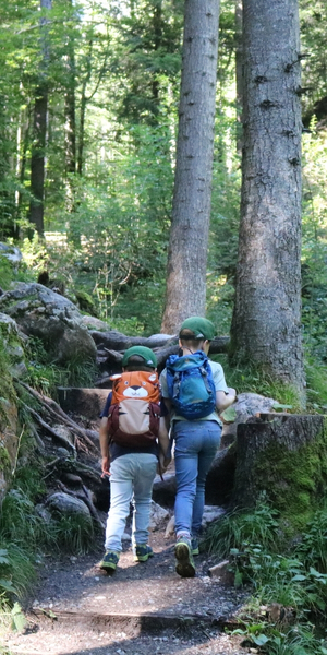 Rehbachklamm in Scheffau
