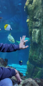 SEA LIFE München