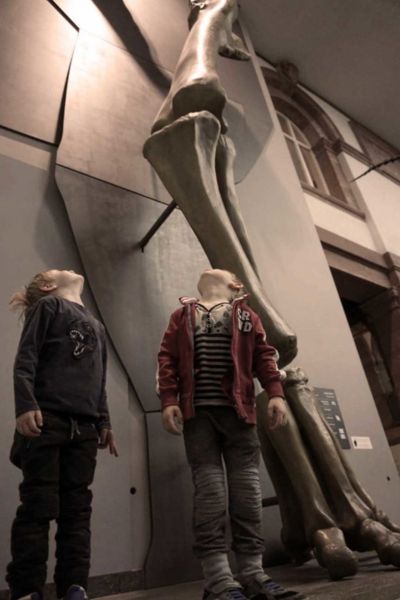 Senckenberg Museum in Frankfurt