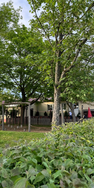 Restaurant Albblick in Altenriet