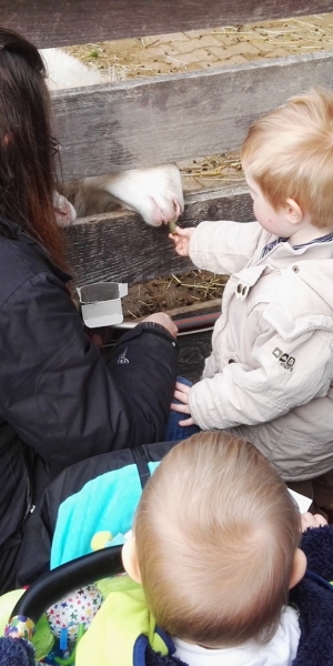 Wildgehege Gaugenwald