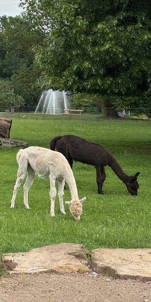Höhenpark für Familien in Stuttgart