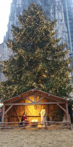 Weihnachtszauber rund ums Ulmer Münster