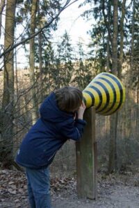 Waldlehrpfad in Eppstein-Bremthal