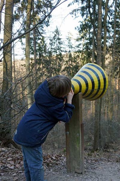 Waldlehrpfad in Eppstein-Bremthal