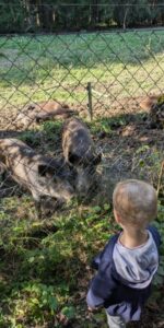 Walderlebnispfad im Ebersberger Forst