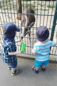Wildpark in Mainz-Gonsenheim