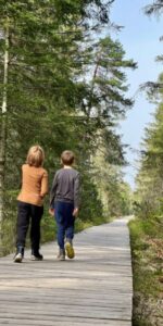 Wildsee & Moor in Kaltenbronn
