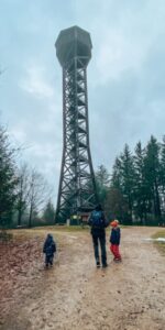 Teltschikturm im Odenwald