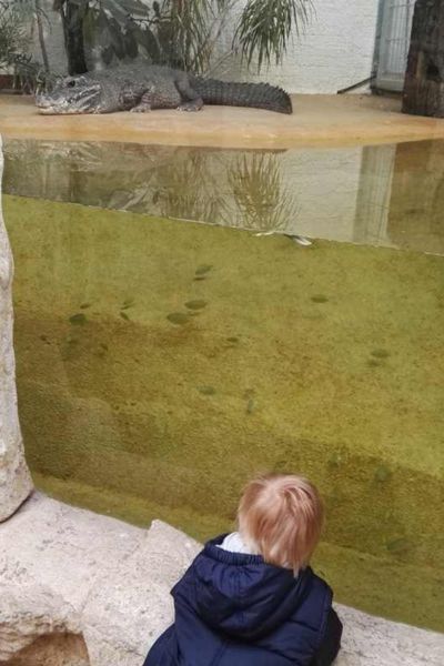 Vivarium Darmstadt