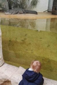 Zoo Vivarium Darmstadt