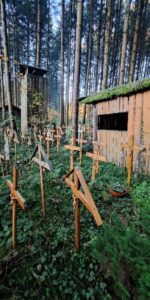Der geheimnisvolle Ort im Wald