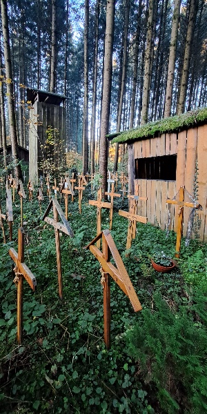 Der geheimnisvolle Ort im Wald
