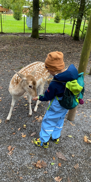 Wildparadies Tripsdrill in Cleebronn